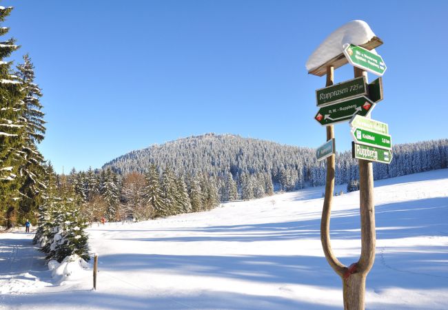 Festtage im Thüringer Wald